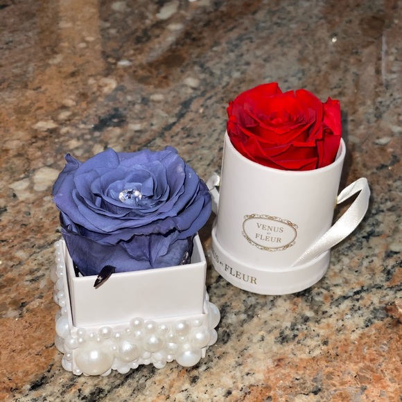 Real roses that last for years !! 🌹🌹🌹 - Picture 13 of 16